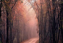 乐鱼体育登陆入口-豪门战车深夜抛锚！美洲杯赛场火药桶一触即发