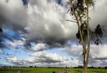 乐鱼登录-VAR失灵？中超裁判惹众怒！英格兰晋级暗藏黑哨疑云