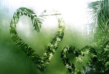 -灰熊咆哮！破竹之势直指南海岸，铁血碰撞点燃巅峰战火