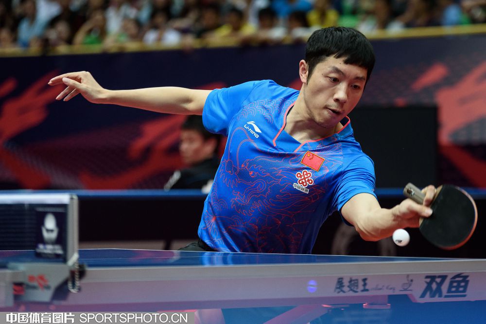 包含波兰队险胜日本队，许昕统治全场的词条