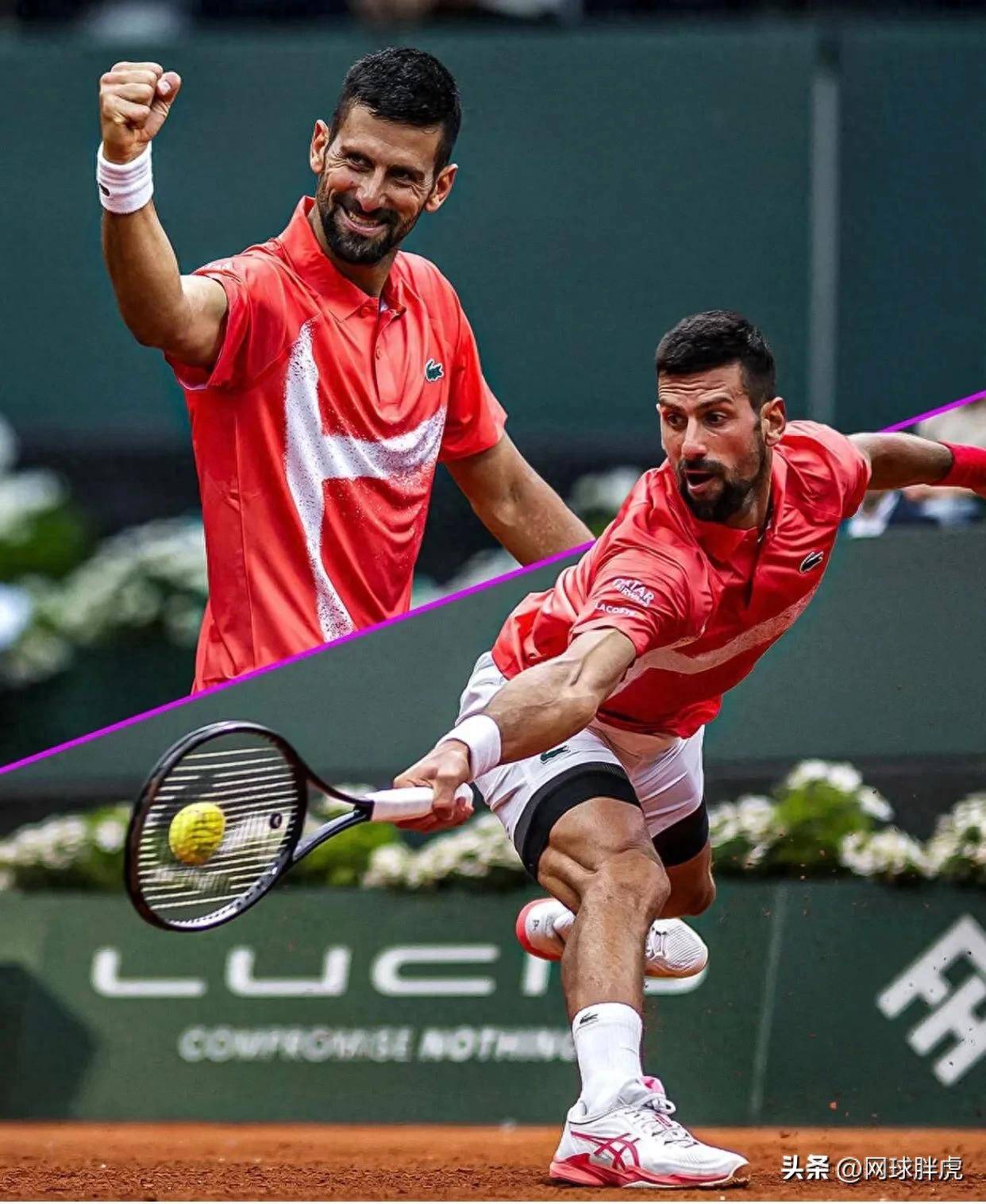 ATP总决赛翻盘法网，德约科维奇点燃赛场